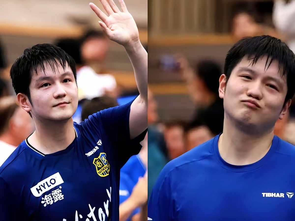 德国队逆转中国队，樊振东带队取胜